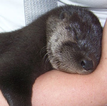 Mark Waters Photo 20 Mark Waters Photo 20