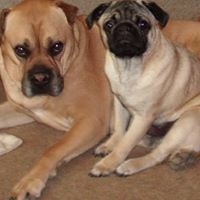 Cheryl Booth Photo 40