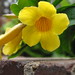 Carolyn Phipps Photo 18