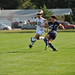Terry Stout Photo 31