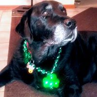 Nancy Painter Photo 29