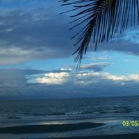 Ronald Raymond Photo 12