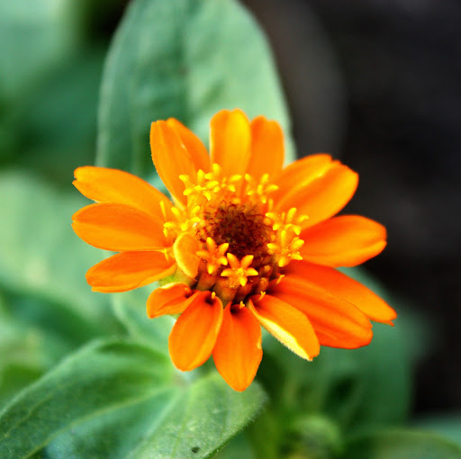 Hannah Downs Photo 11