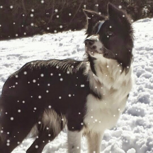 Irene Cordero Photo 14