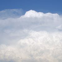 Cherie Clarke Photo 10