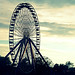 Will Faris Photo 5