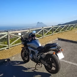 Martin Palmer Photo 38