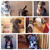 Susan Worley Photo 33