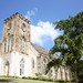 Frances Parish Photo 12