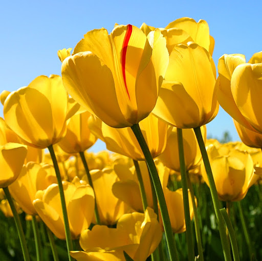 Linda Finley Photo 21