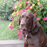 Cecilia Oliver Photo 8