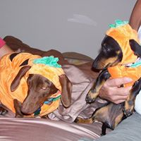 Becky Graham Photo 5