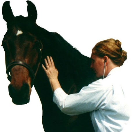 Kathleen Cavanagh Photo 6