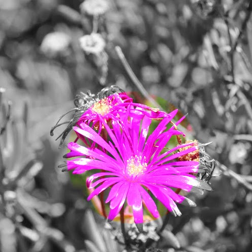 Julia Baird Photo 26