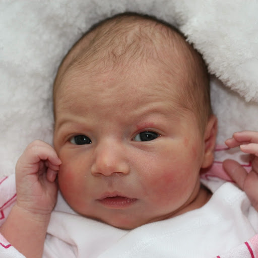 Michael Aplington Photo 1