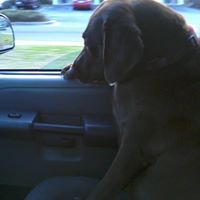 Benjamin Farris Photo 22