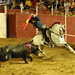 Manuel Cordero Photo 28