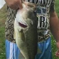 Chris Odom Photo 17