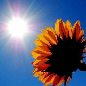 Xiaowen Chen Photo 8