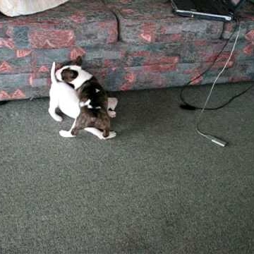 Susan Mcmillan Photo 45