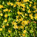 Anne Lesser Photo 6