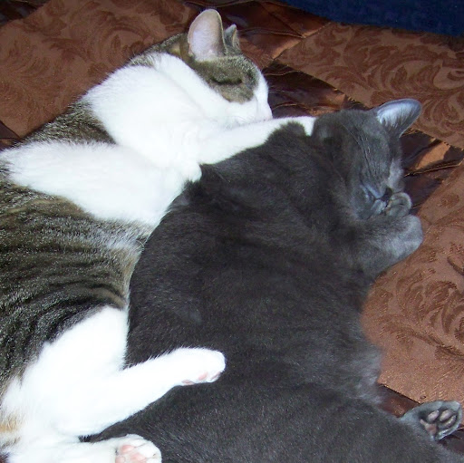 Melissa Power Photo 13