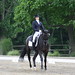 Shea Kelly Photo 23