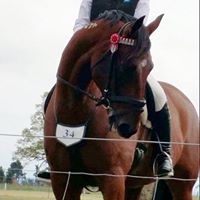 Deanne Carter Photo 13