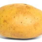 Sally Russo Photo 10