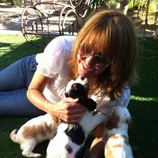 Laura Schrock Photo 16