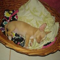 Jacqueline Moran Photo 31