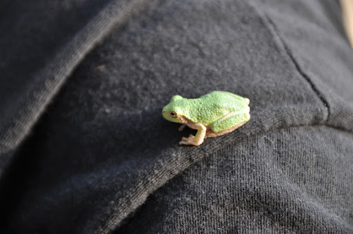 Jack Graves Photo 20