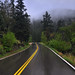 Joy Collins Photo 26