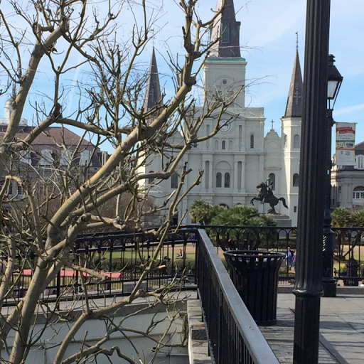 Janis Mayfield Photo 9