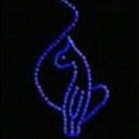 Stacey Alston Photo 13