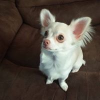 John Zielinski Photo 12