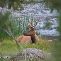 Patricia Harker Photo 5