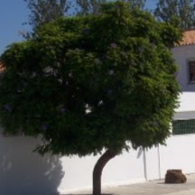 Juan Borrego Photo 18