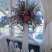Diane Harris Photo 29