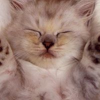 Jennifer Branch Photo 11