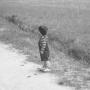 Carol Ward Photo 10