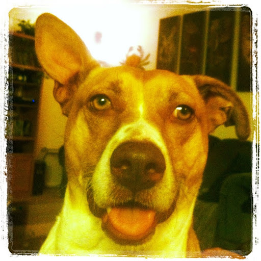 Joshua Mercer Photo 16