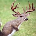 Billy Berry Photo 26