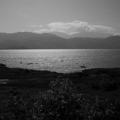 Lawrence Abbott Photo 33