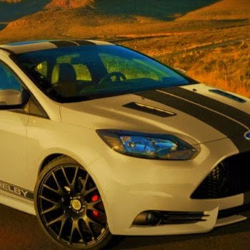 Stephen Gustafson Photo 27