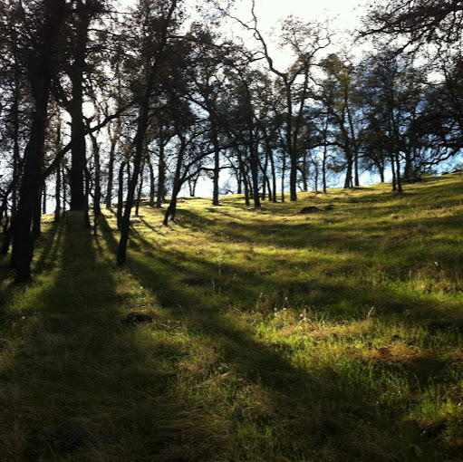 Elizabeth Nagle Photo 13