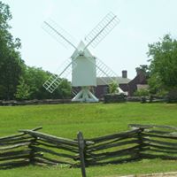 Carla Collins Photo 17