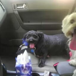 Gregory Glover Photo 9