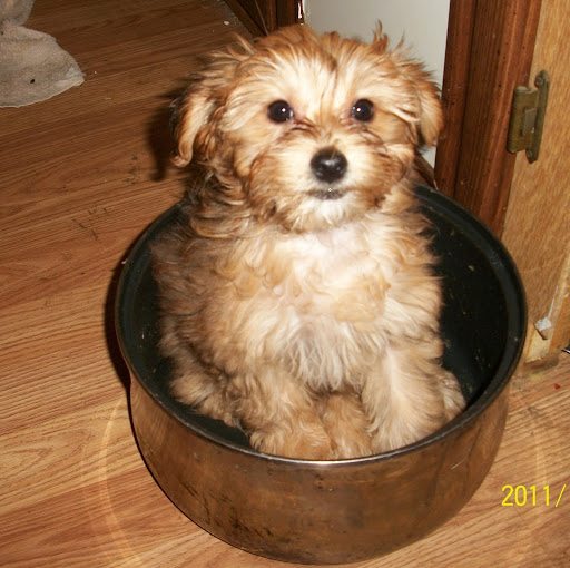 Cindy Mullins Photo 19