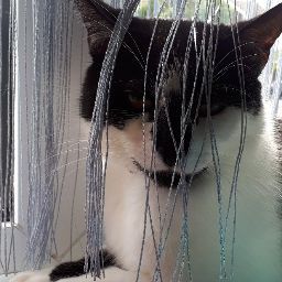 Shelly Barrett Photo 13